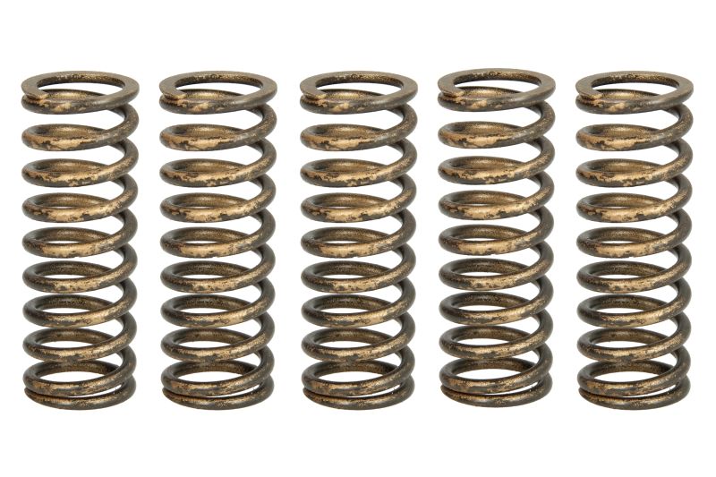 Sankabos spyruoklės TRW HONDA CRF 250 04-18